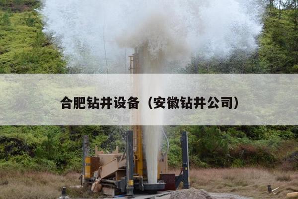 合肥钻井设备（安徽钻井公司）