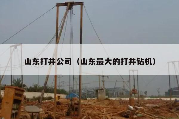 山东打井公司（山东最大的打井钻机）