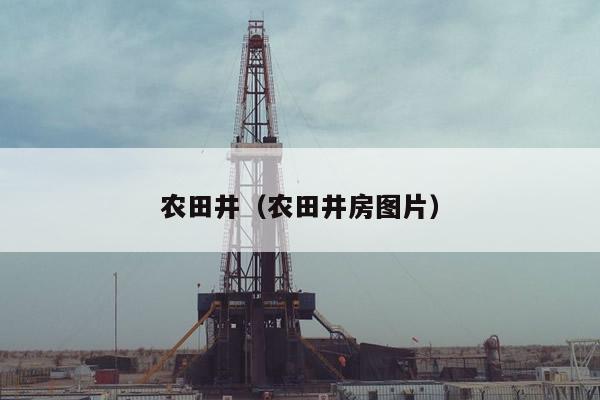 农田井（农田井房图片）
