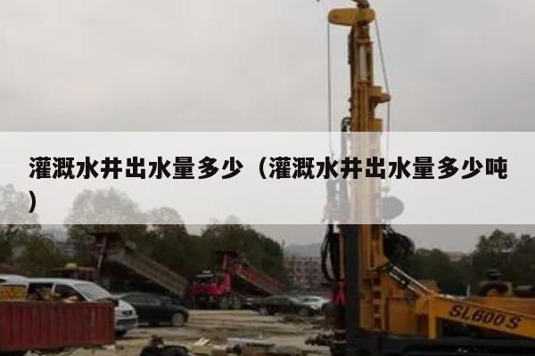 灌溉水井出水量多少（灌溉水井出水量多少吨）